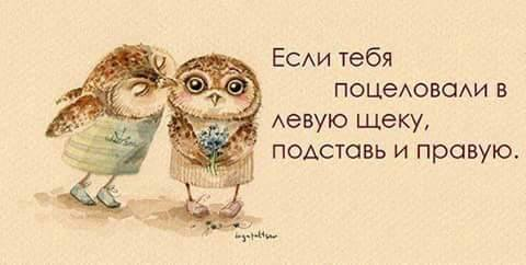 живём позитивно