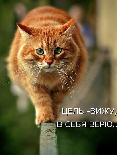  О достижимых целях