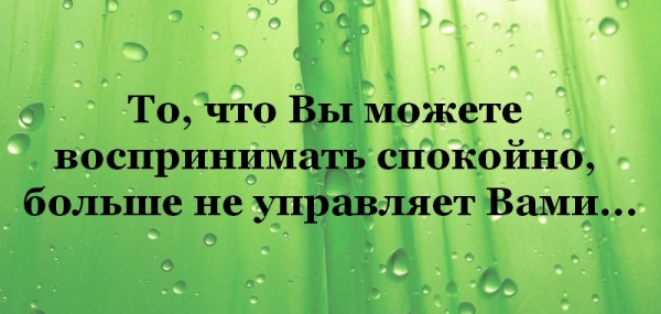  воспринимай все спокойно